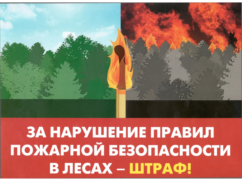 Ответственность за нарушение правил пожарной безопаности в лесах.