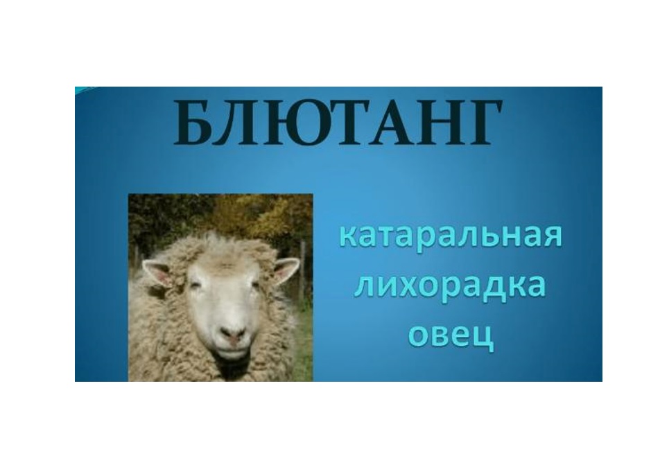 Памятка для населения &quot;Блютанг&quot;.